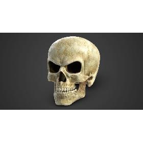 Skull 3